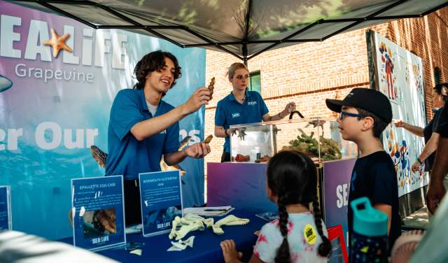 Main Street Fest KidZone