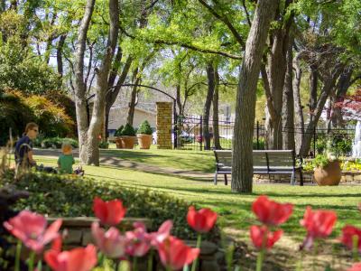 Landscape with trees and tulips at the Botanical Garden in Grapevine, TX.