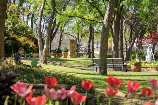 Landscape with trees and tulips at the Botanical Garden in Grapevine, TX.