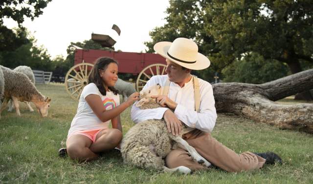 Girl petting sheep at Nash Farm