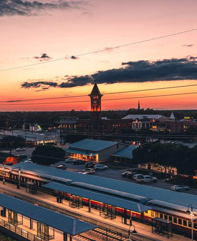 Grapevine at Sunset