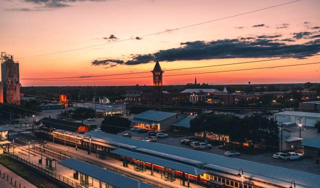 Grapevine at Sunset